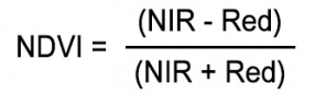 NDVI formulae